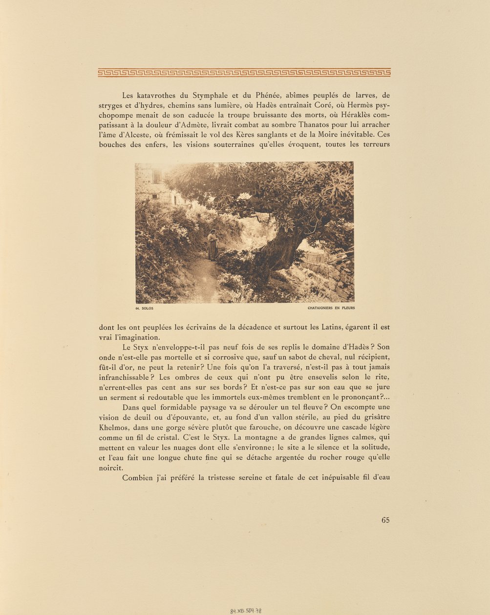 Solos. Châtaigniers en fleurs - Frédéric Boissonnas