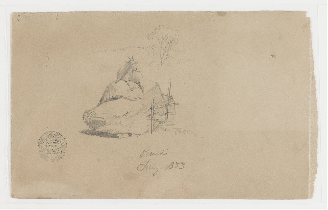 Une chèvre à Pandi, Colombie - Frederic Edwin Church
