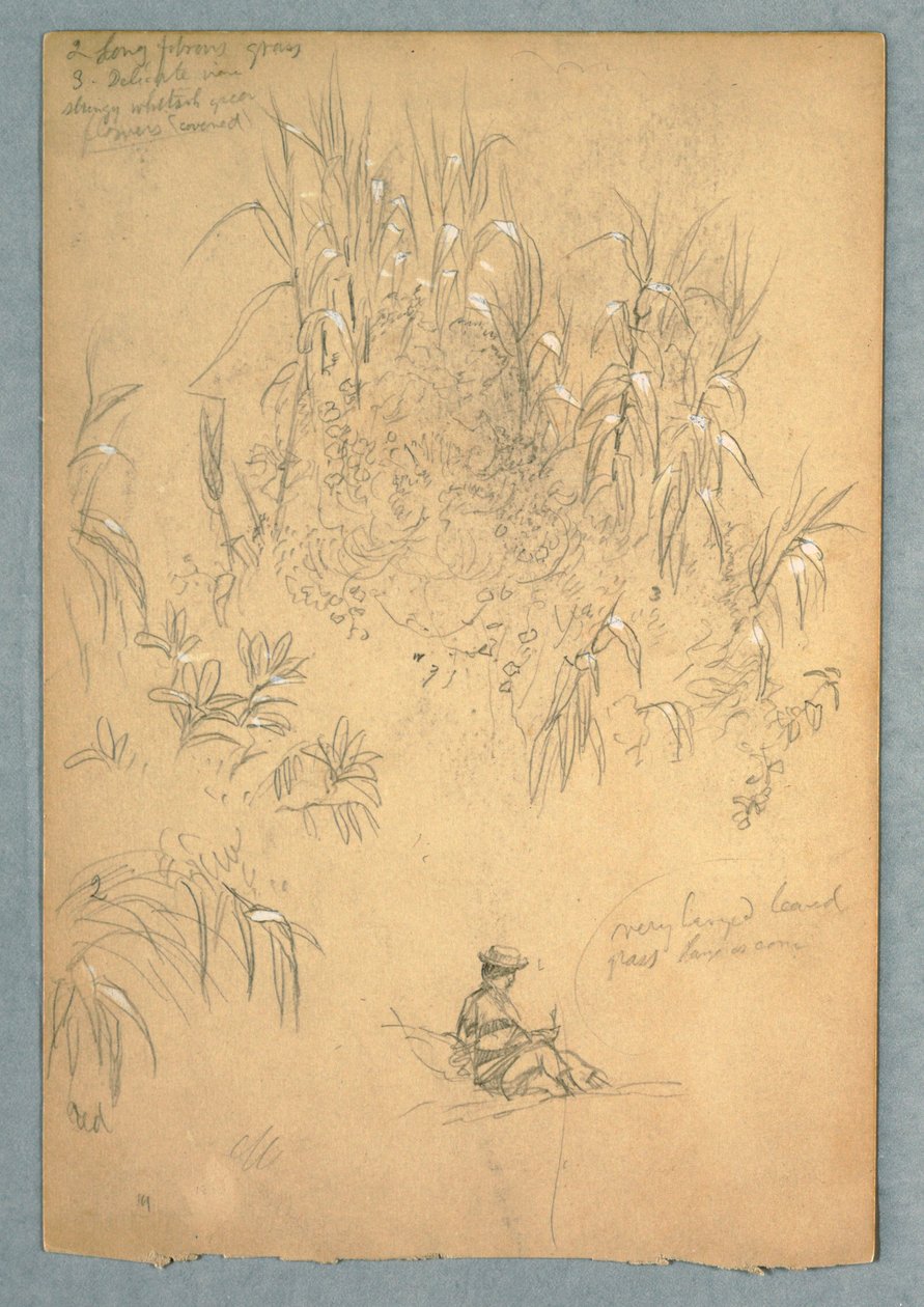 Dessin, Étude détaillée d