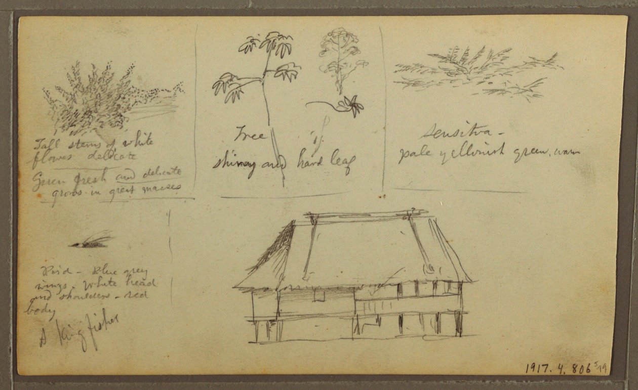 Dessin, un fort ; au verso : croquis botaniques, maison, 1857 - Frederic Edwin Church