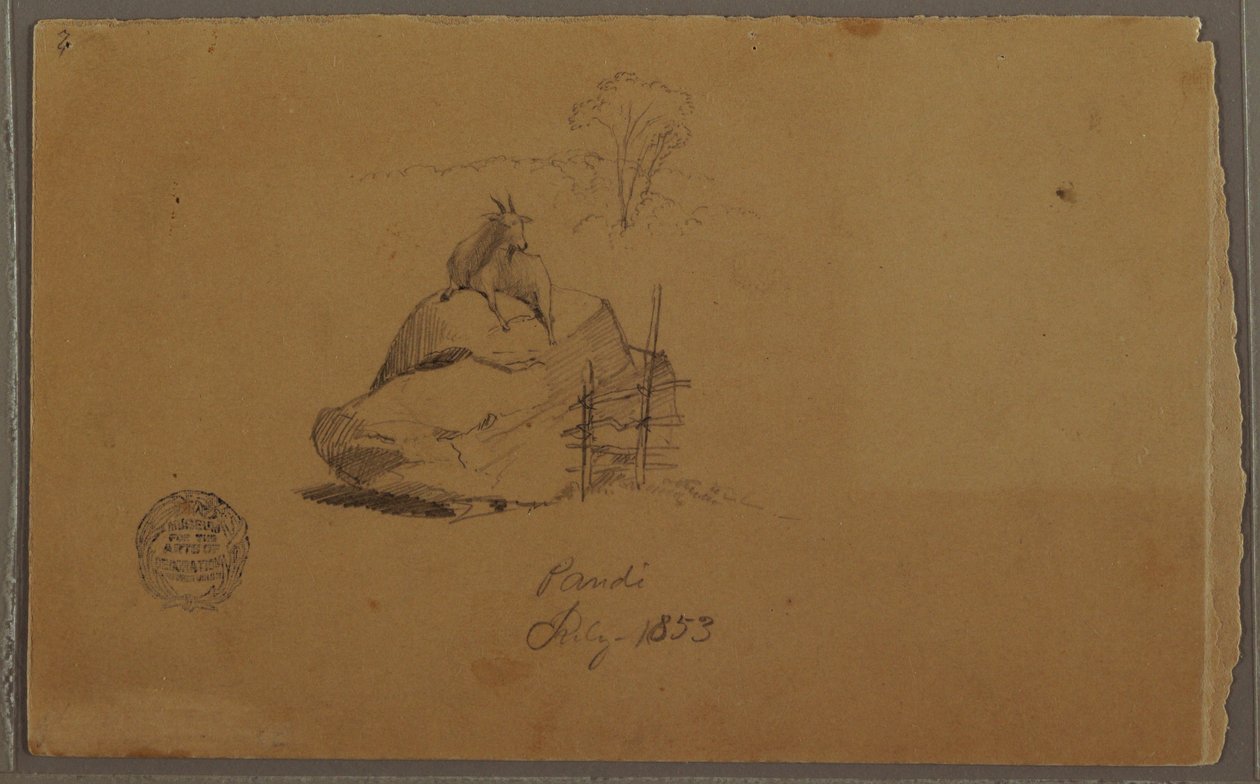 Dessin, Une chèvre à Pandi, Colombie, juillet 1853 - Frederic Edwin Church
