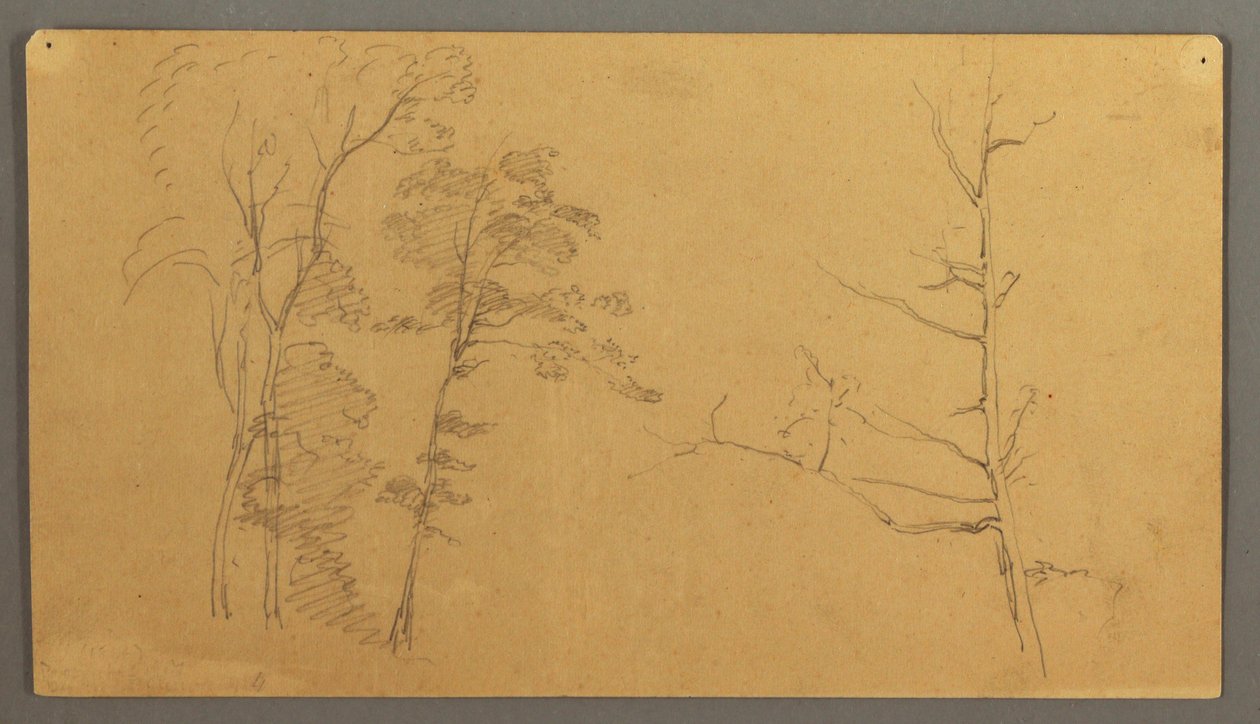Dessin, Groupe d