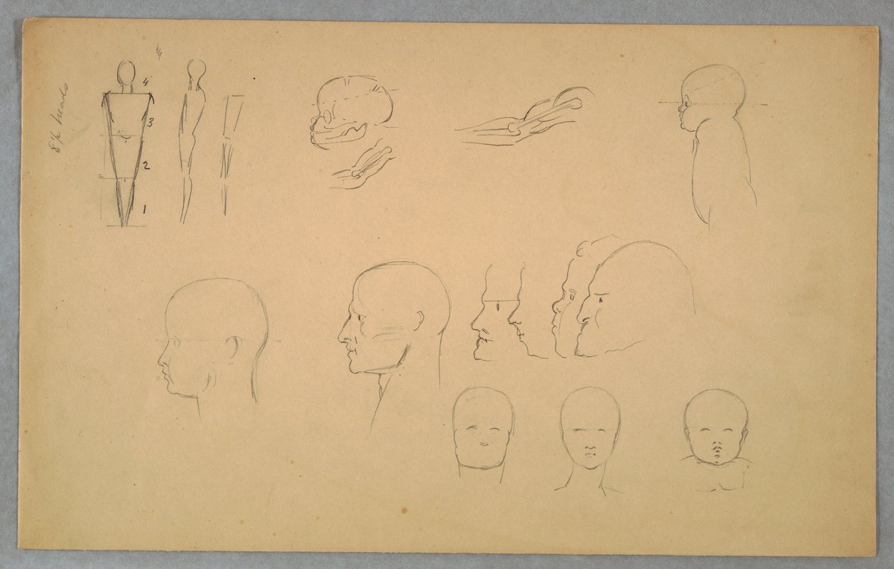 Dessin, études anatomiques, 1865-70 - Frederic Edwin Church