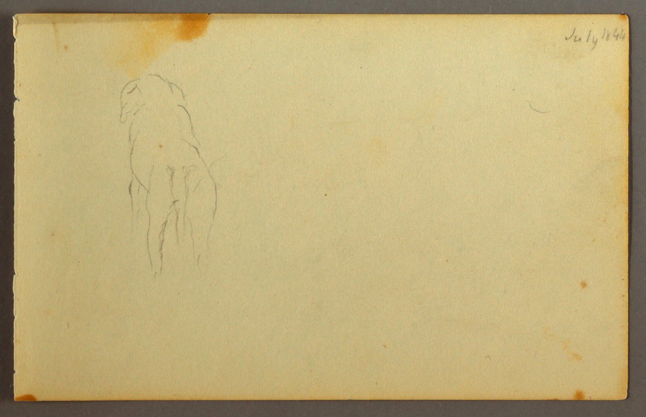 Dessin, Animal, de dos, 1844 - Frederic Edwin Church