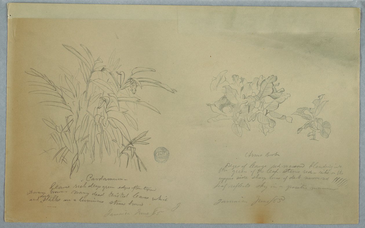 Dessin, études sur l