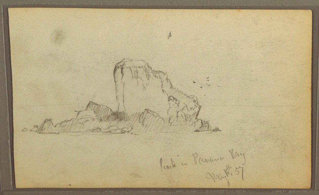 Dessin, Bireds, "Rocher dans la baie de Panama" ; Verso : "Vignes lourdes", 15 mai 1857 - Frederic Edwin Church