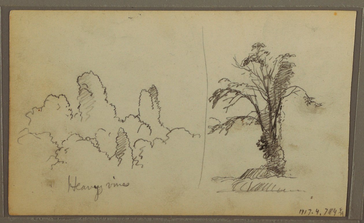 Dessin, Bireds, "Rocher dans la baie de Panama" ; Verso : "Vignes lourdes", 15 mai 1857 - Frederic Edwin Church
