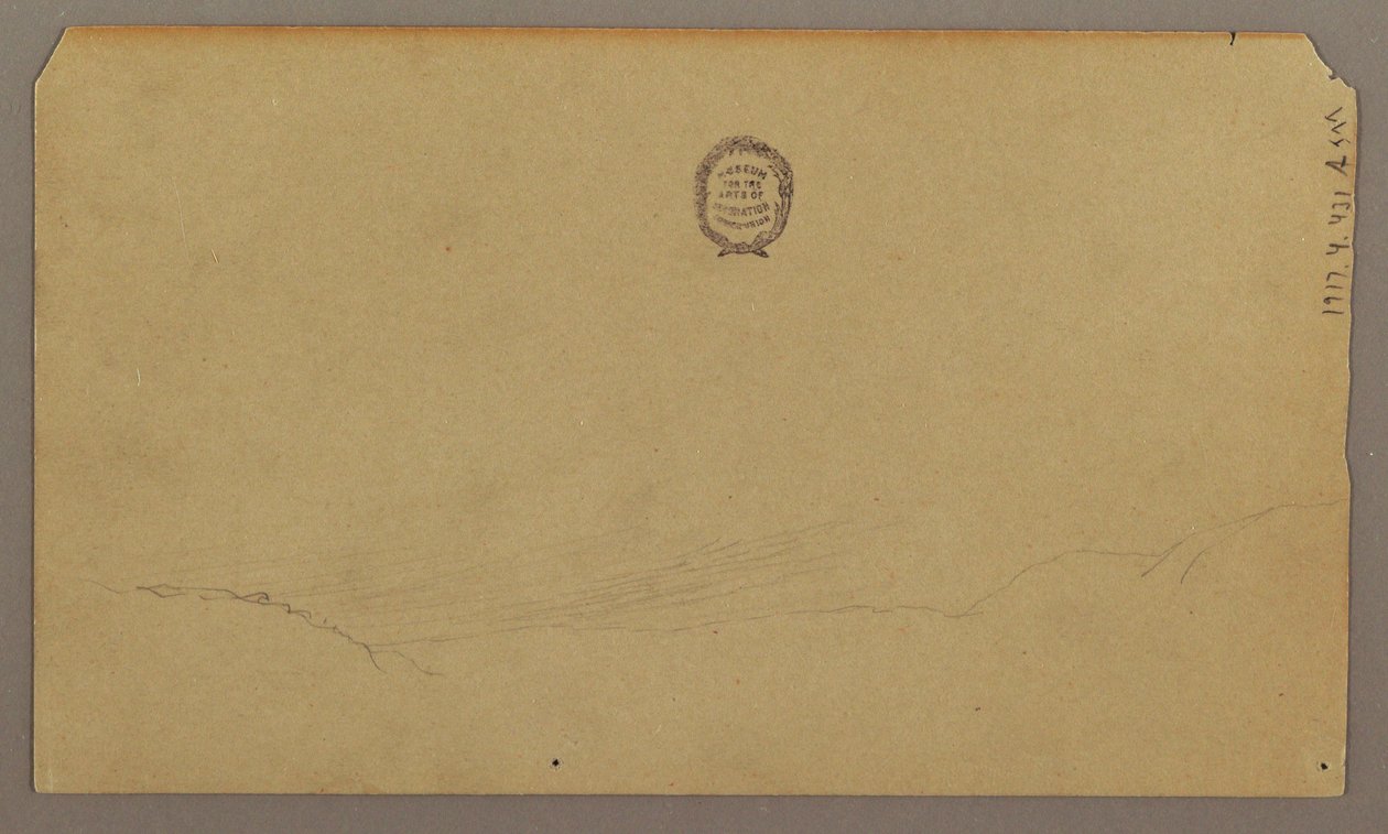 Dessin, croquis botaniques, août 1865 - Frederic Edwin Church
