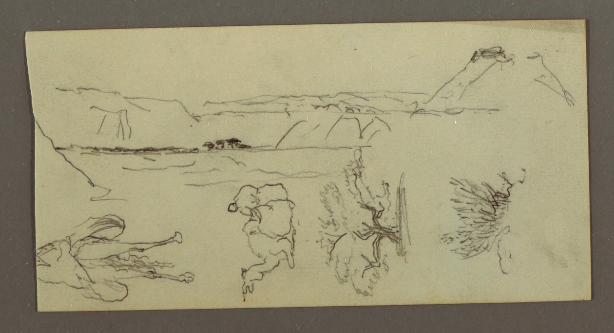 Dessin, Stuides de chameaux, buisson d