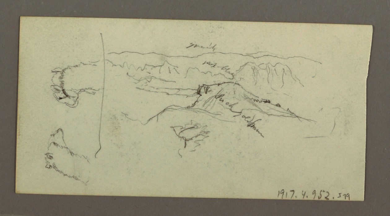 Dessin, Stuides de chameaux, buisson d