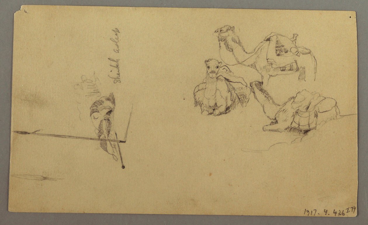 Dessin, Chameaux s
