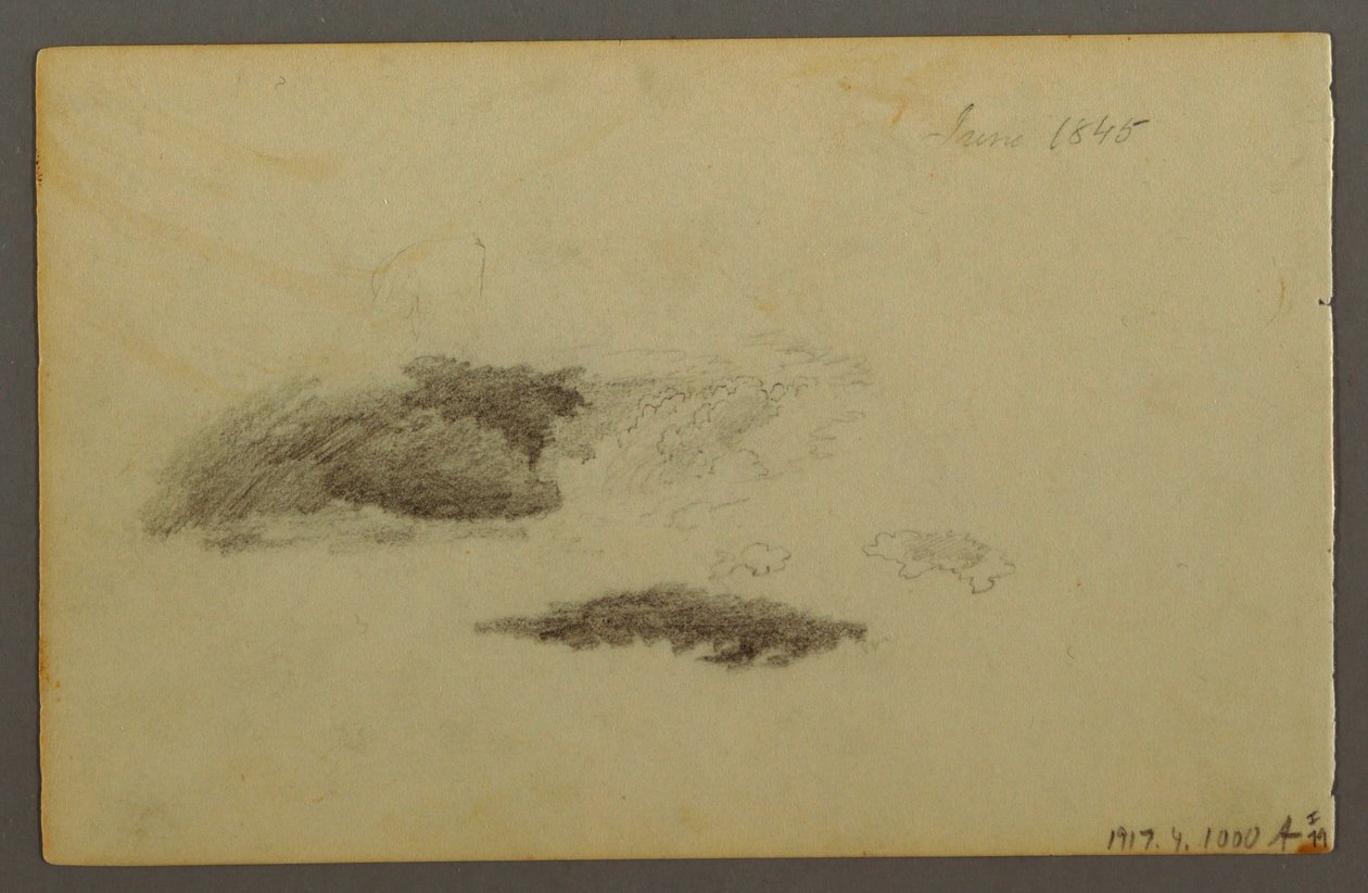 Dessin, Bouleau pourri, 1844 - Frederic Edwin Church