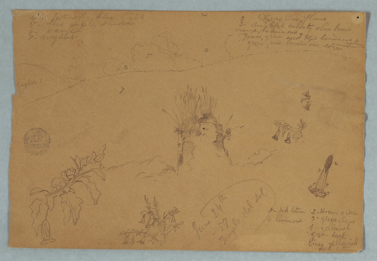 Dessin, Dessin.  Croquis botaniques et de nuages près de Quito, Équateur, 24 juin 1857 - Frederic Edwin Church