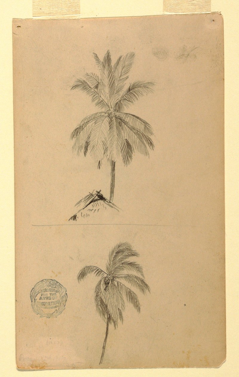 Dessin, Dessins.  Deux esquisses.  Palmiers, 1857 - Frederic Edwin Church