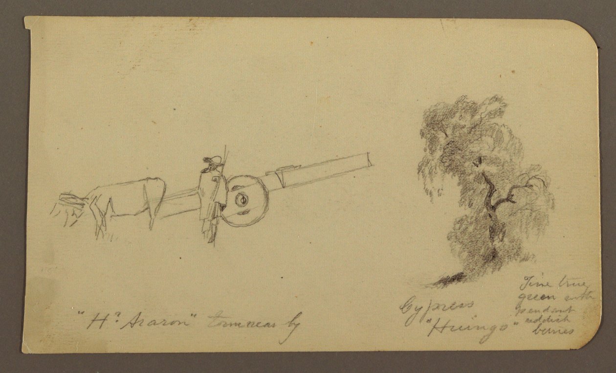 Dessin, personnage et charrette à bœufs, cyprès ; verso : vue du lac de Cuitzeo, janvier 1885 - Frederic Edwin Church