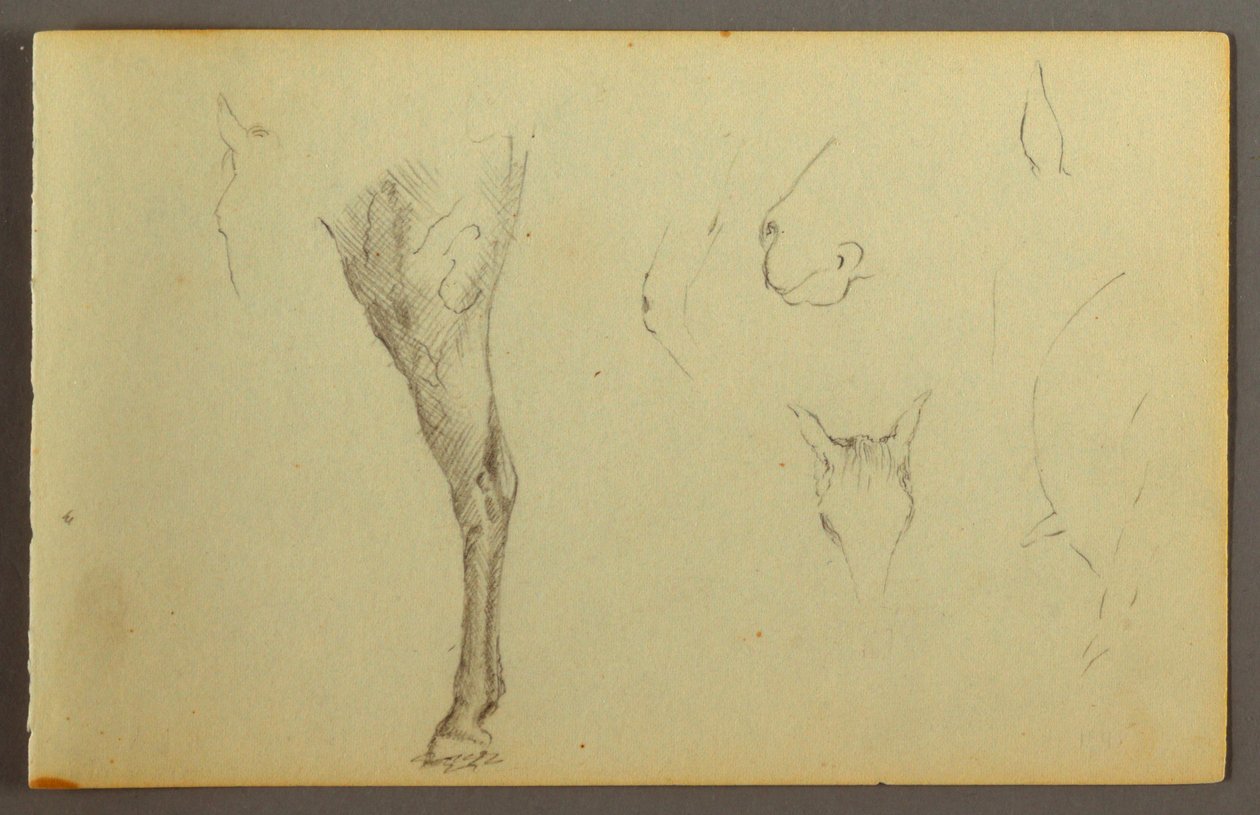 Dessin, Études de chevaux, peut-être 1844 - Frederic Edwin Church