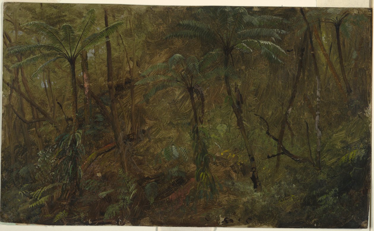 Dessin, Dans les bois de Jamacia, Antilles, 1865 - Frederic Edwin Church