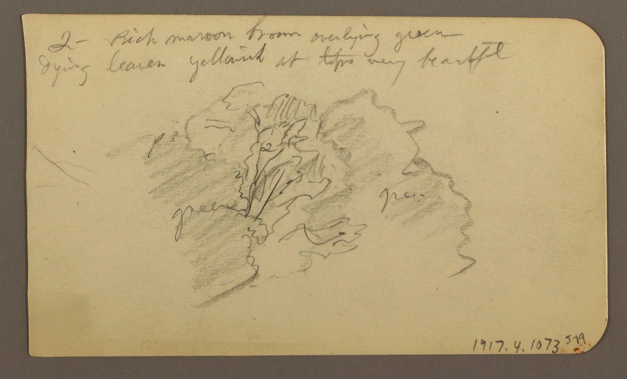 Dessin, paysage, maisons ; Verso : cime d