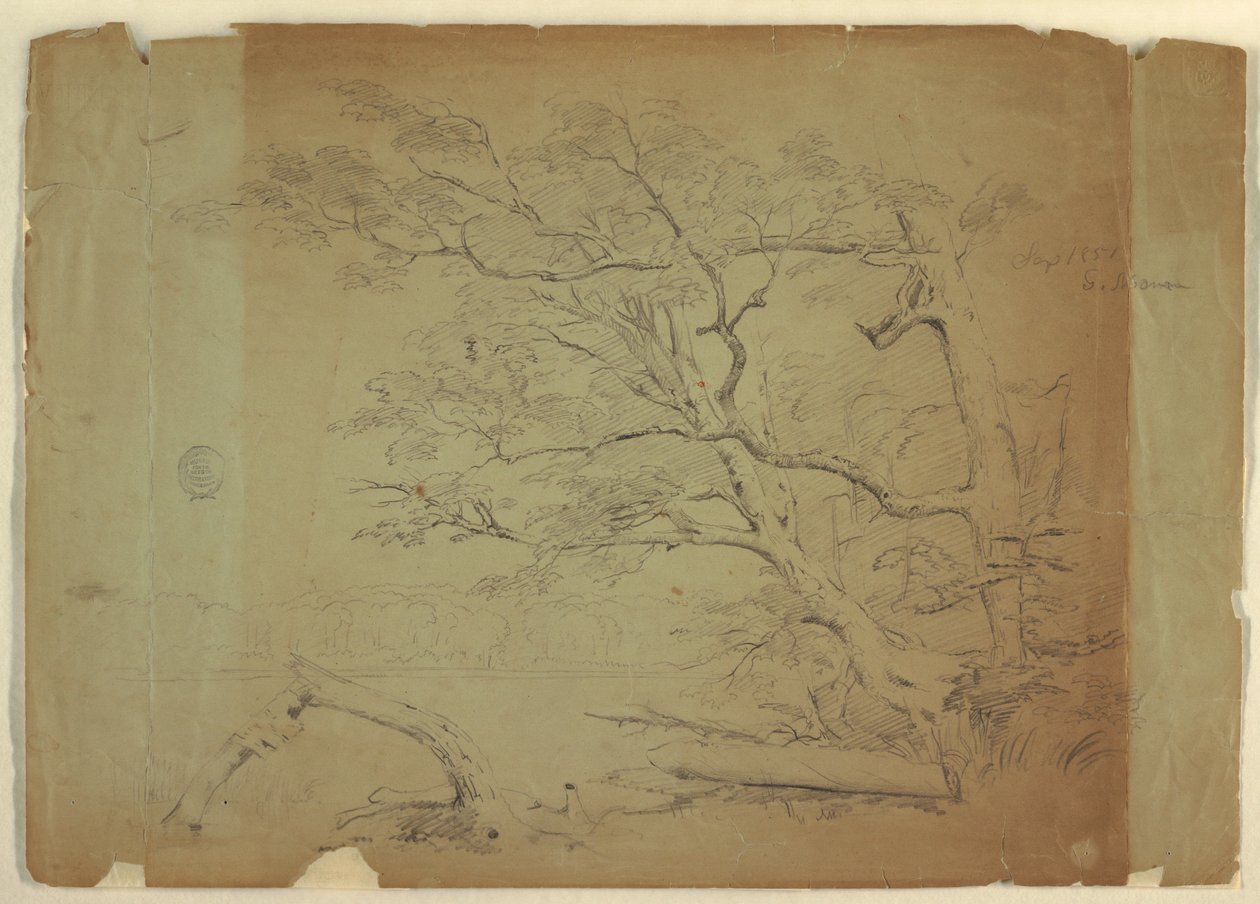 Dessin, Paysage avec des arbres et un ruisseau [ ], île de Grand Manan, Canada, septembre 1851 - Frederic Edwin Church