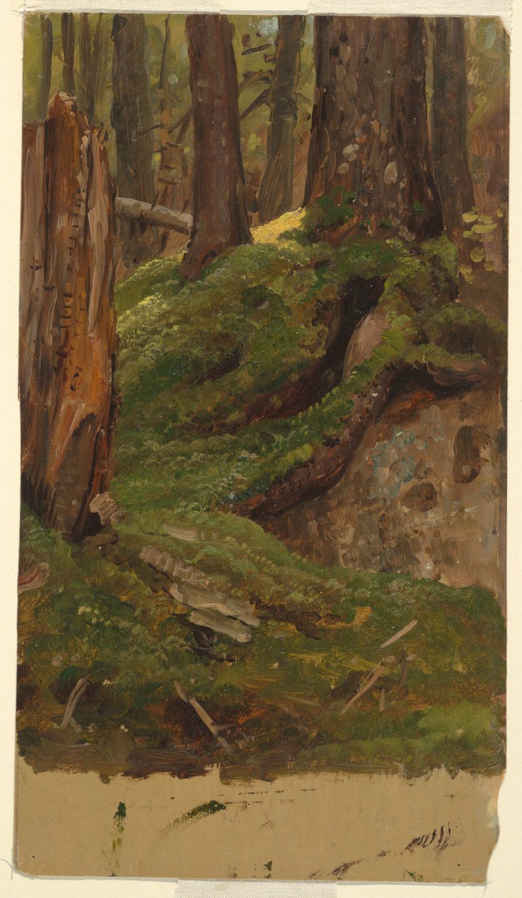 Dessin, Maine  bois, 1855-65 - Frederic Edwin Church
