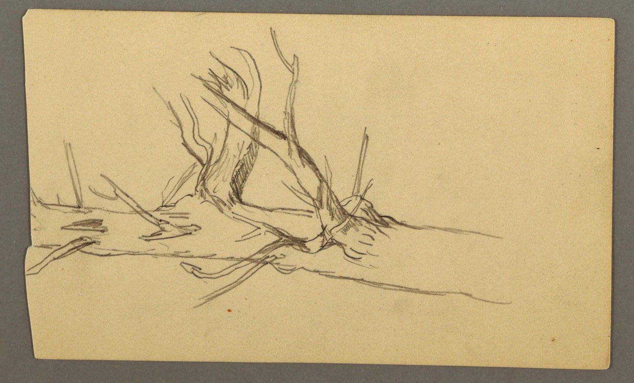 Dessin, section centrale d