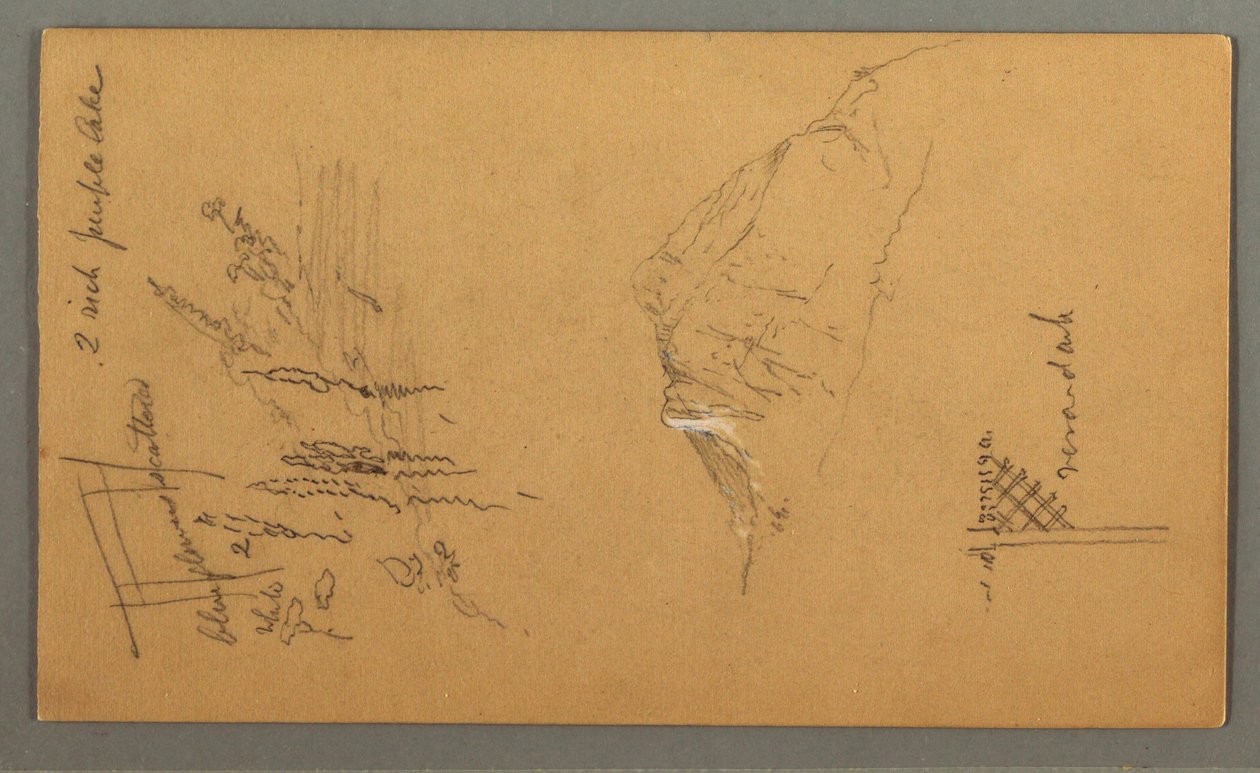 Dessin, pic montagneux, végétation en bordure de piscine, 1868 - Frederic Edwin Church