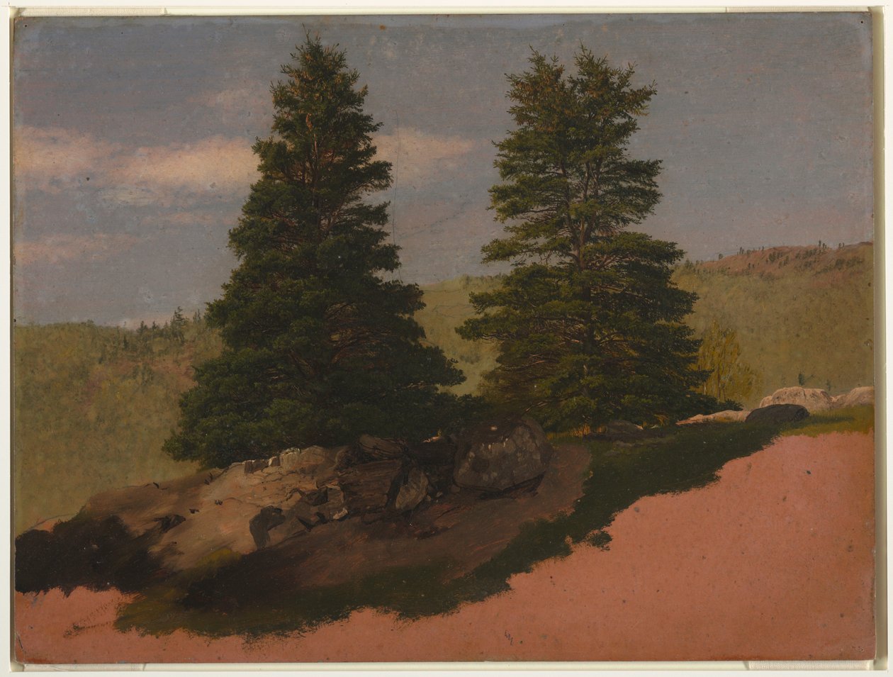 Dessin, paysage de Nouvelle-Angleterre (deux pins), 1850 - Frederic Edwin Church