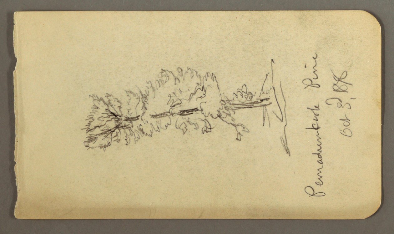 Dessin, pin, 1878 - Frederic Edwin Church