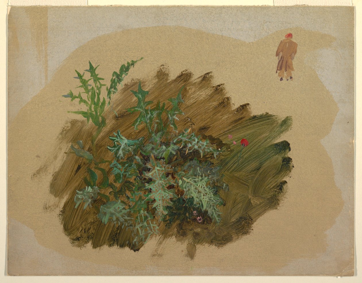 Dessin, études de plantes, 1865 - Frederic Edwin Church