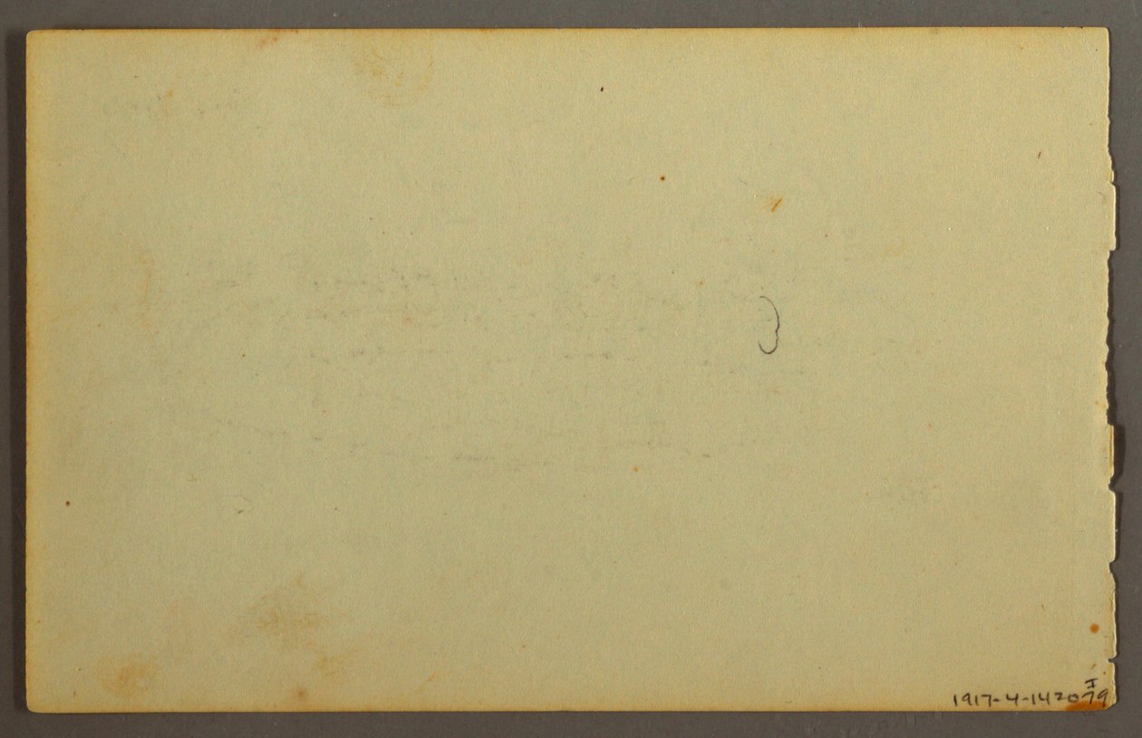 Dessin, étude de plantes, visages, peut-être 1844 - Frederic Edwin Church