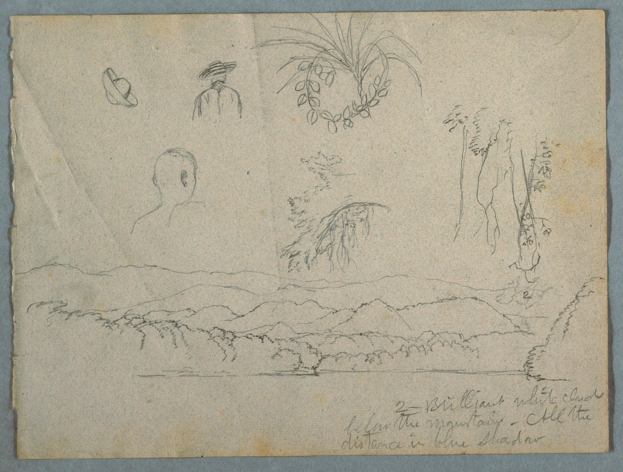 Dessin, bord de rivière avec montagnes et nuages, trois croquis botaniques et études de bustes d