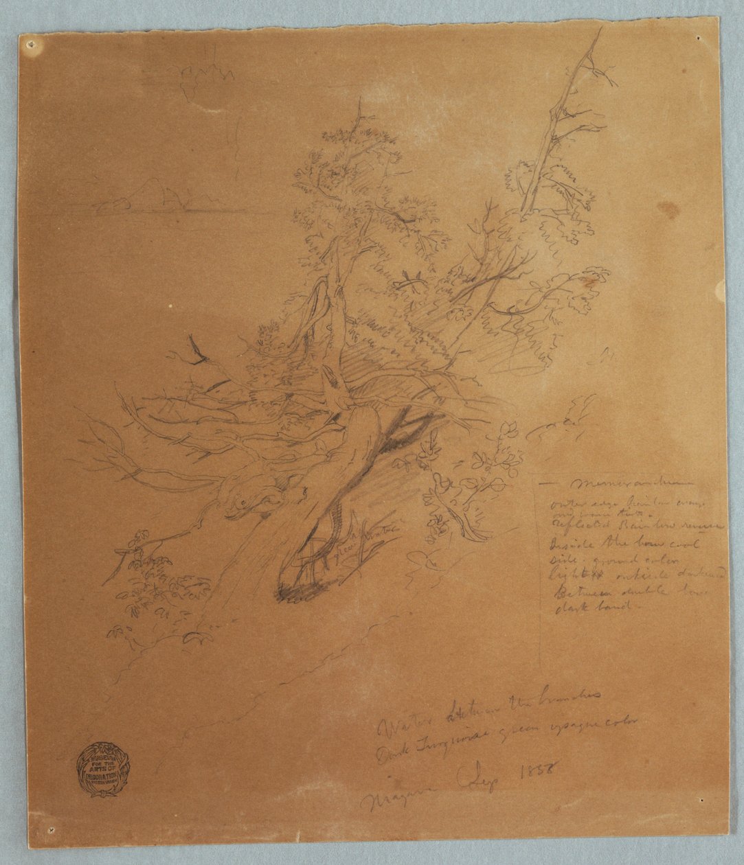 Dessin, Arbre rugueux à la Banque canadienne en bas des chutes du Niagara, septembre 1856 - Frederic Edwin Church