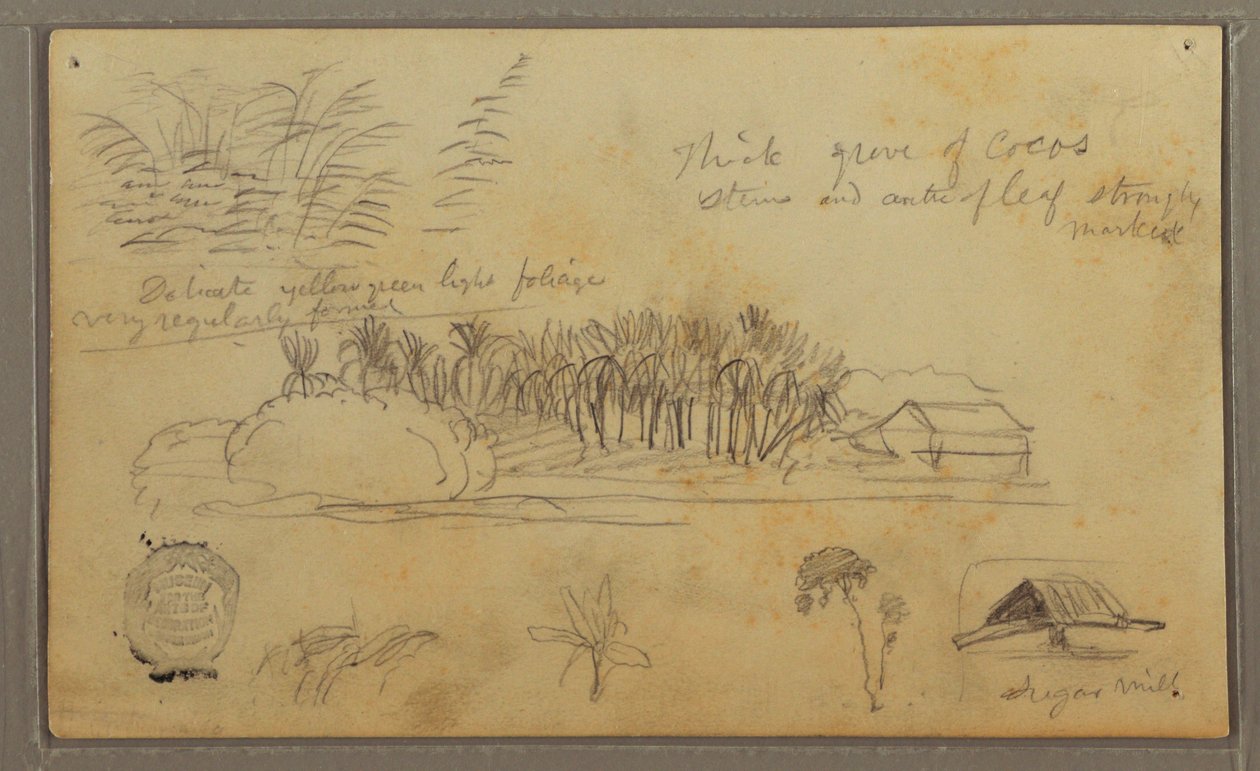 Dessin, Croquis, Équateur ou Colombie ; Verso : Croquis, Équateur ou Colombie, 1857 - Frederic Edwin Church