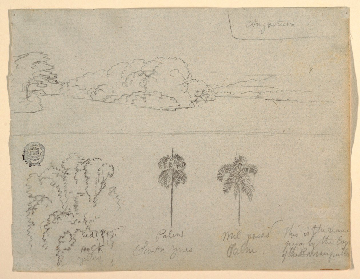 Dessin, Croquis de Colombie :  Rives d