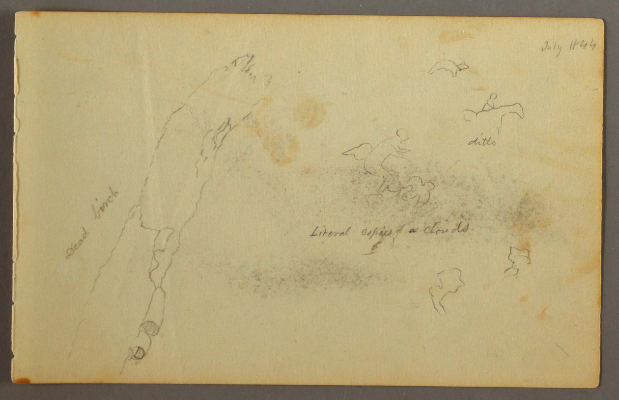 Dessin, Esquisses de nuages et de bouleau mort, juillet 1844 - Frederic Edwin Church