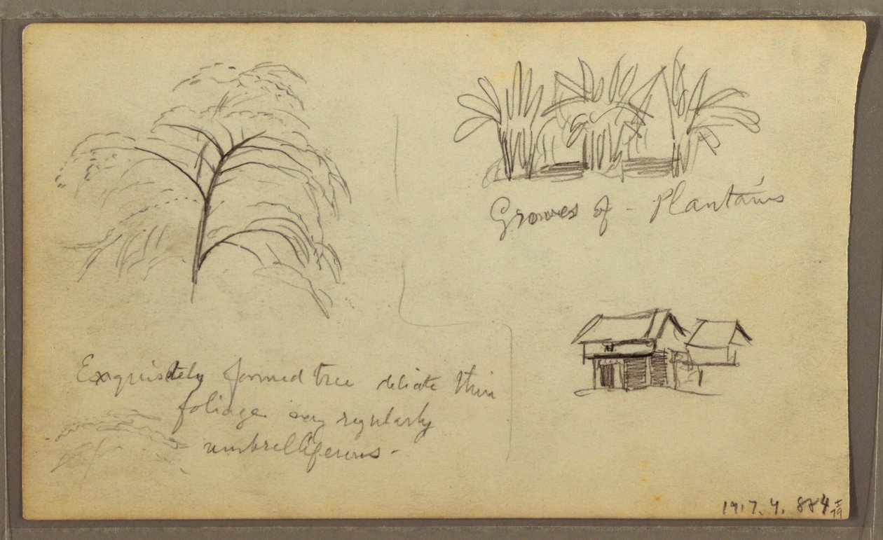 Dessin, coin de rue à Guaquil, Équateur ; Verso : croquis botaniques, maison, Équateur ou Colombie, 1857 - Frederic Edwin Church
