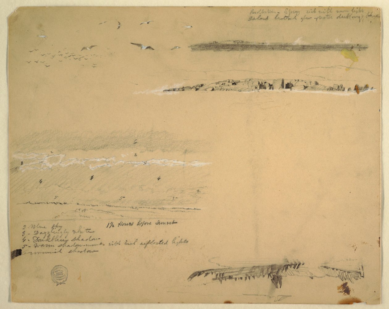 Dessin, études de mouettes, côte rocheuse et ciel nuageux, Great Manan, Canada, septembre 1851 - Frederic Edwin Church