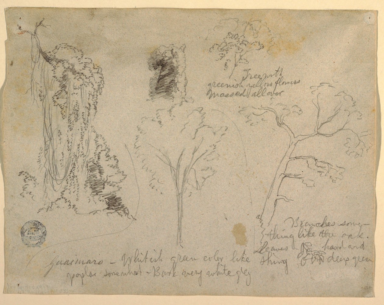 Dessin, Études d