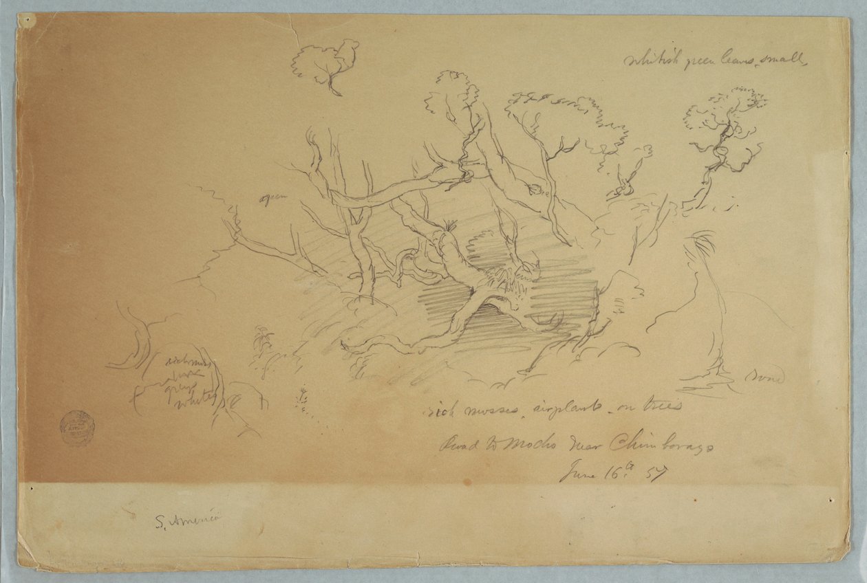 Dessin, Études d
