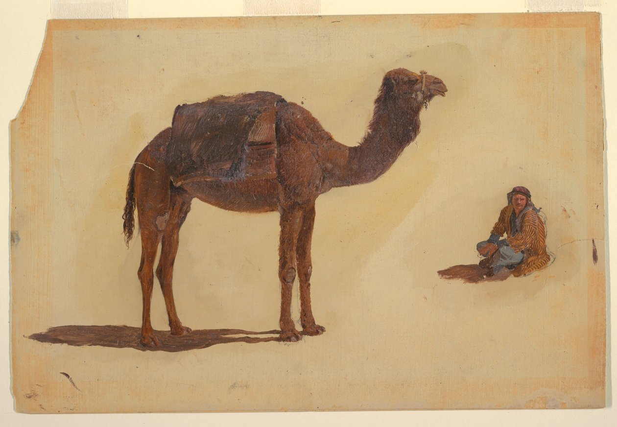 Dessin, étude d