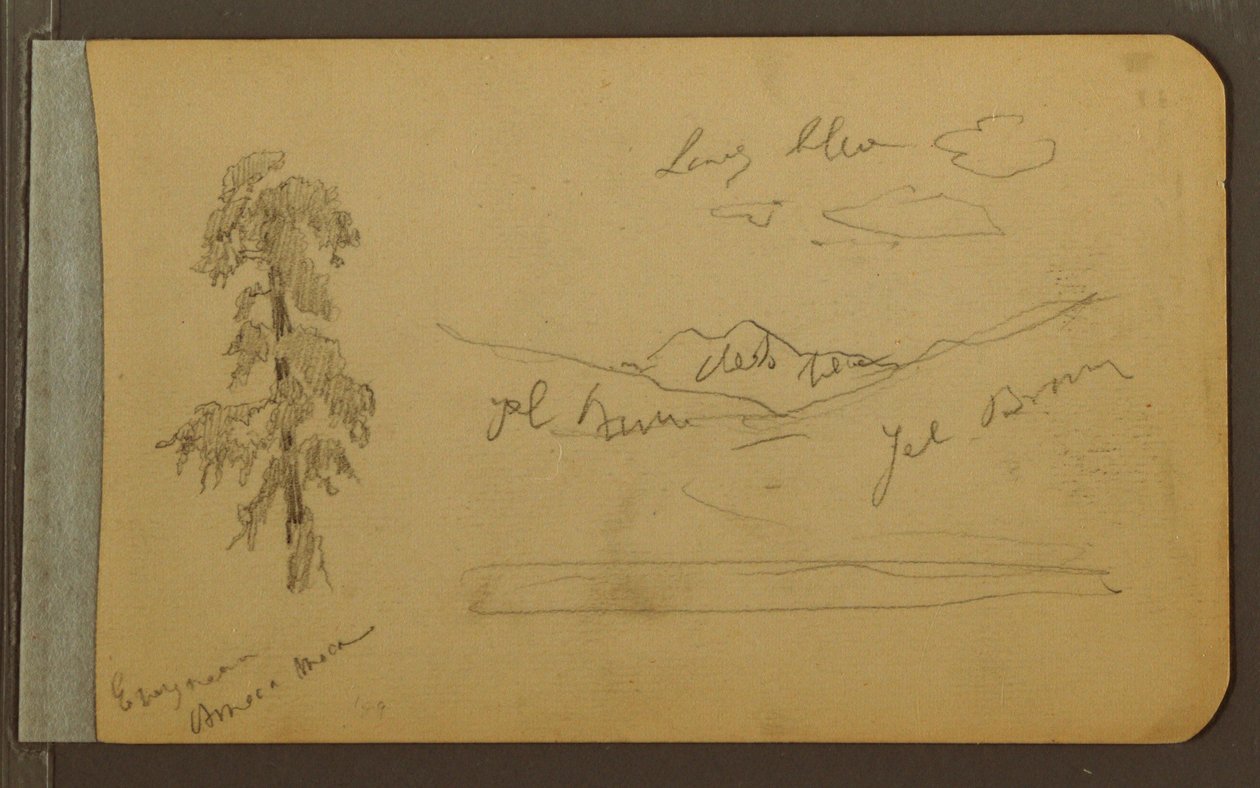Dessin, arbre, montagnes, 1889 - Frederic Edwin Church