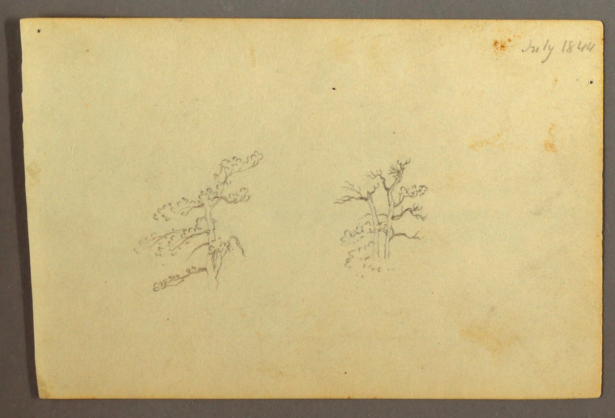 Dessin, Arbres, juillet 1844 - Frederic Edwin Church