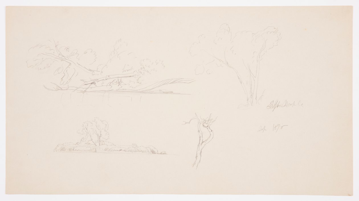 Dessin, Arbres, un rivage avec des buissons et des arbres, septembre 1876 - Frederic Edwin Church