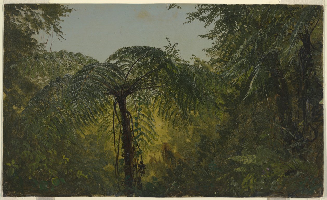 Dessin, paysage tropical, juin ou juillet 1865 - Frederic Edwin Church