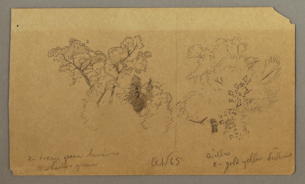 Dessin, Deux études d