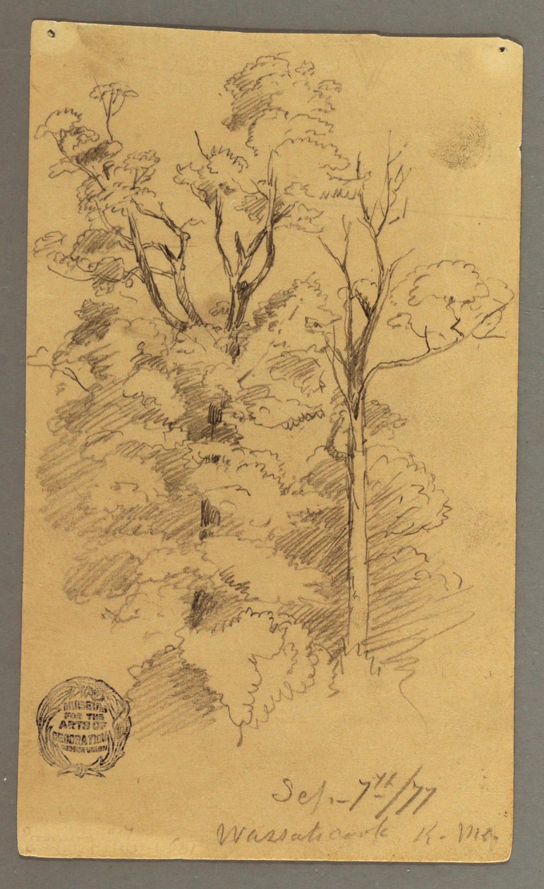 Dessin, Deux arbres, 1877 - Frederic Edwin Church