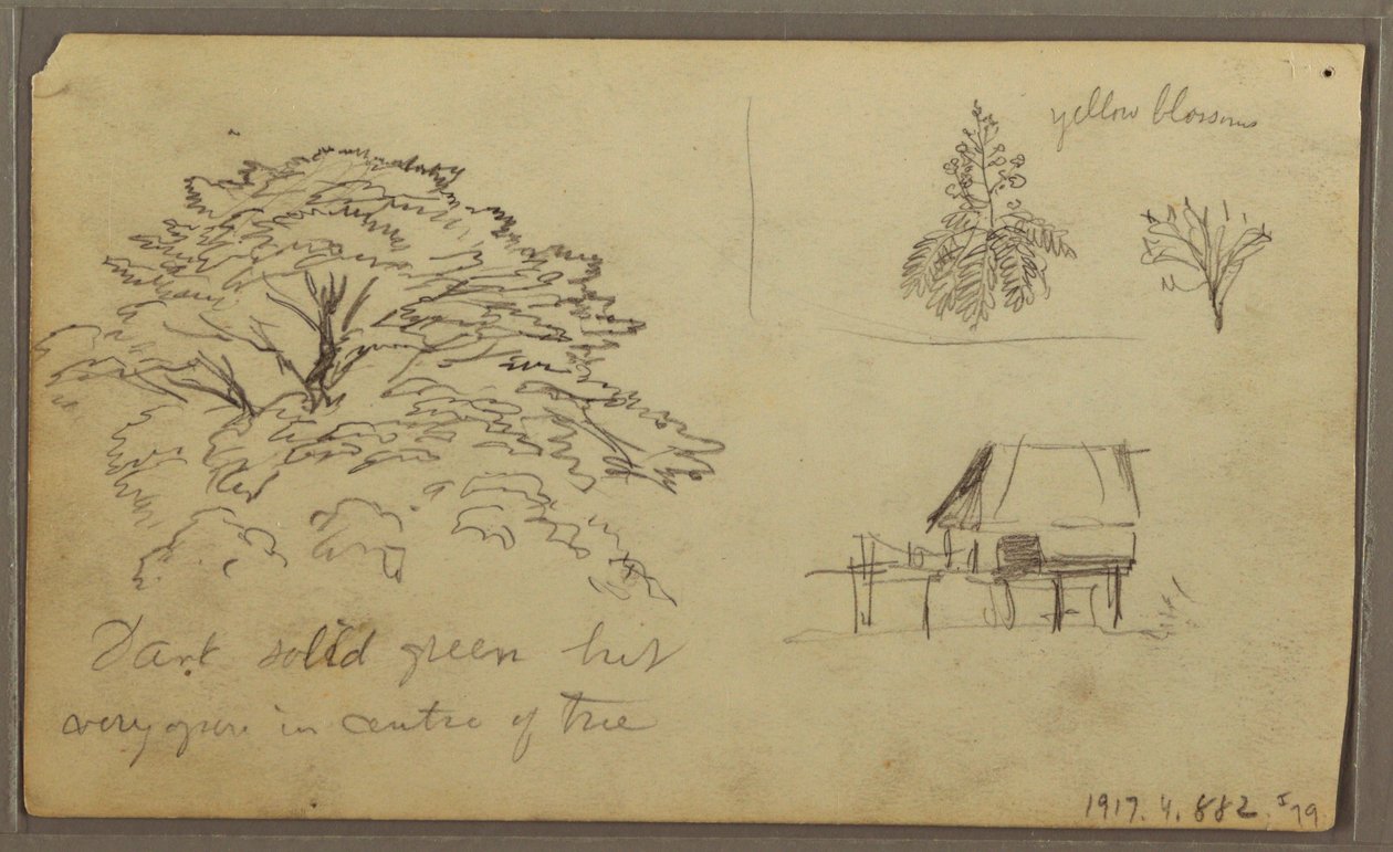 Dessin, Vue de Guayaquil, Équateur, 23 mai 1857 - Frederic Edwin Church