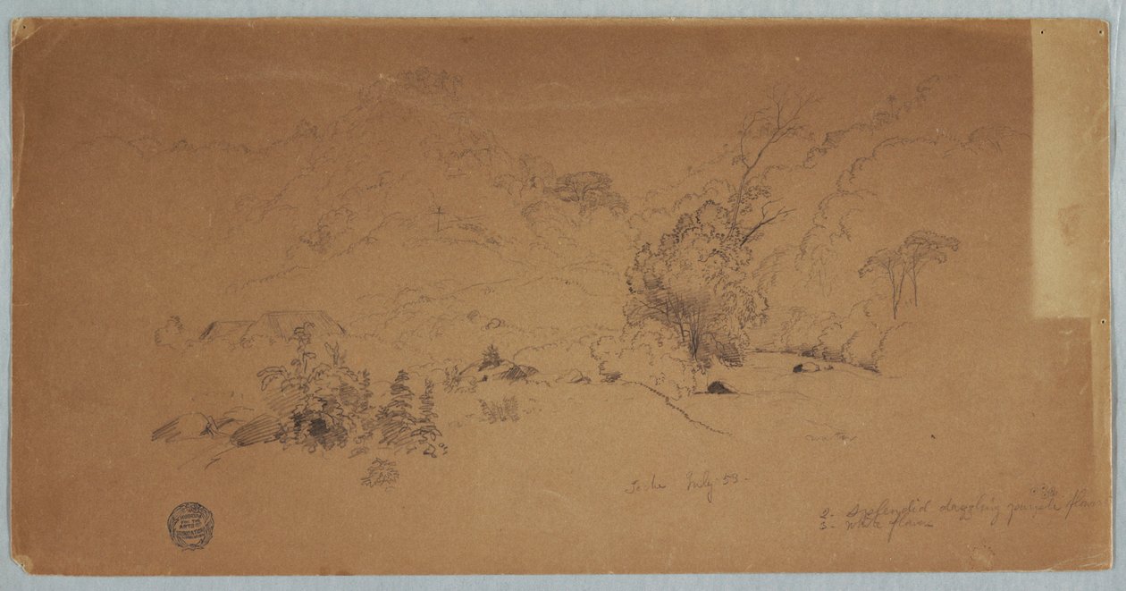Dessin, vue de Toche, Colombie, juillet 1853 - Frederic Edwin Church