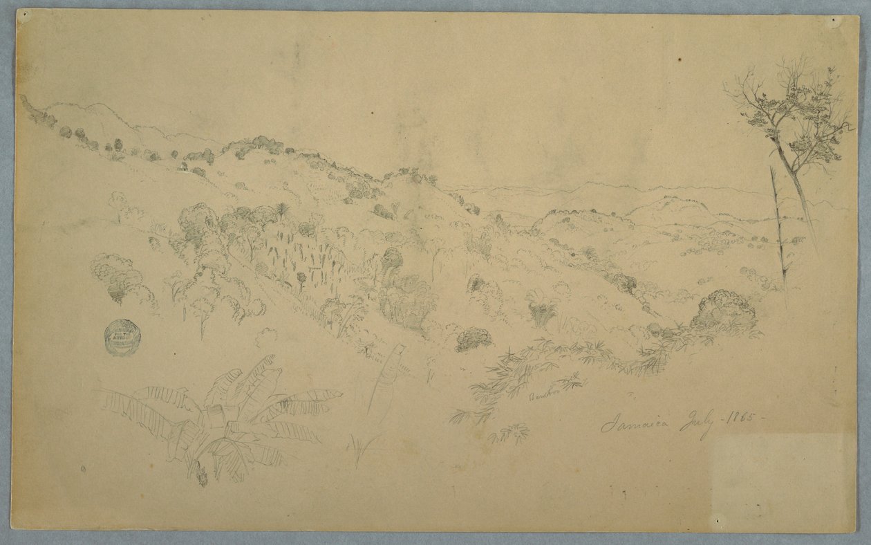 Dessin, vallée boisée avec une grande fougère et des chaînes de montagnes lointaines, Jamaïque, juillet 1865 - Frederic Edwin Church