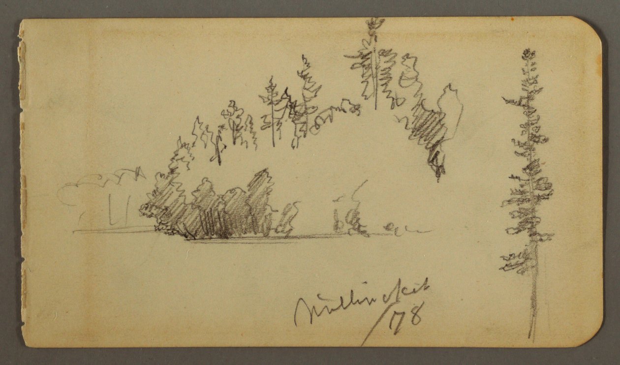 Dessin, Rivage boisé, étude d